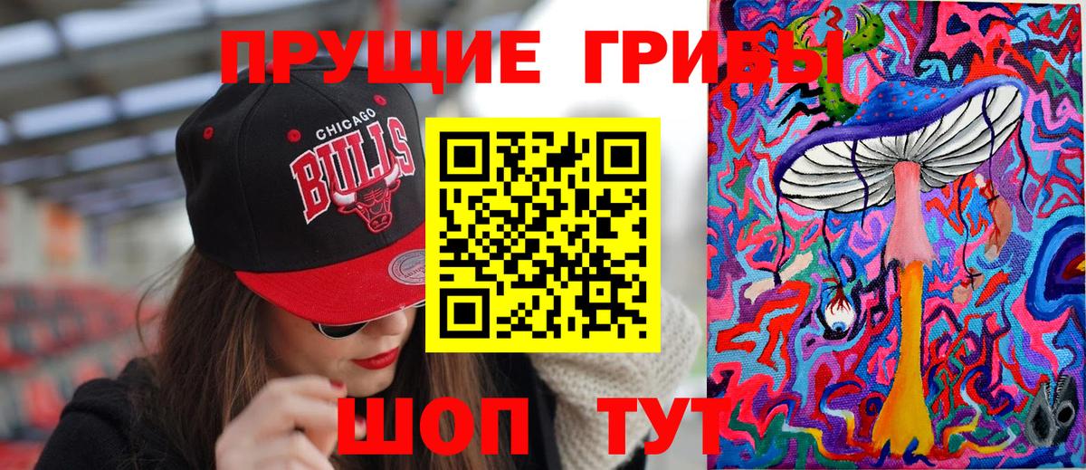 Псилоцибиновые грибы Psilocybe Ревда