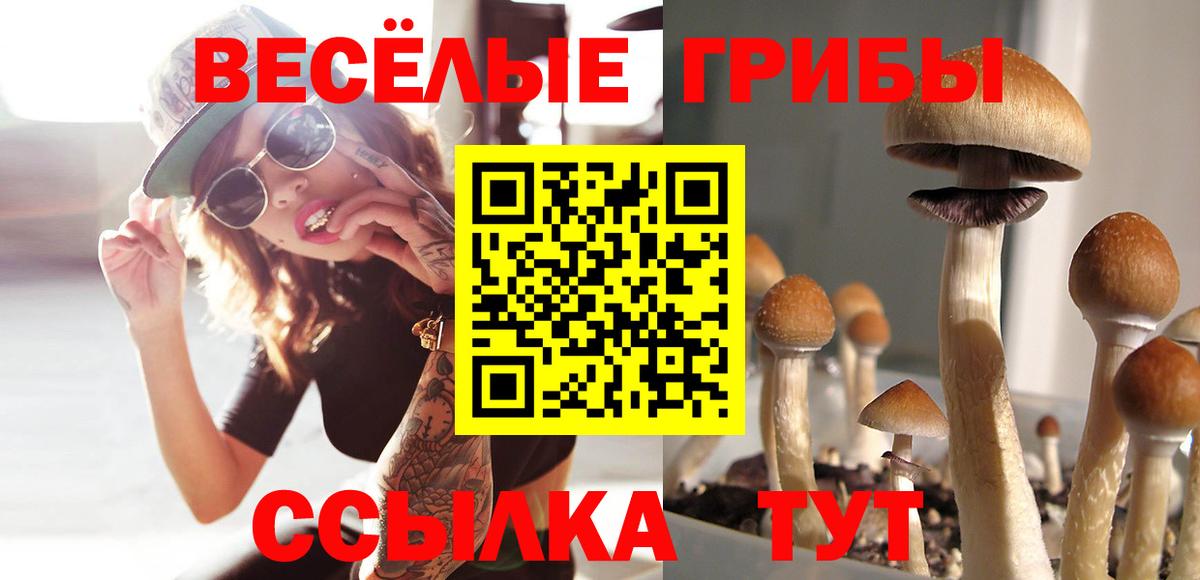 Ревда  Галлюциногенные грибы Psilocybine cubensis  Псилоцибиновые грибы мицелий  Вход с VPN 
